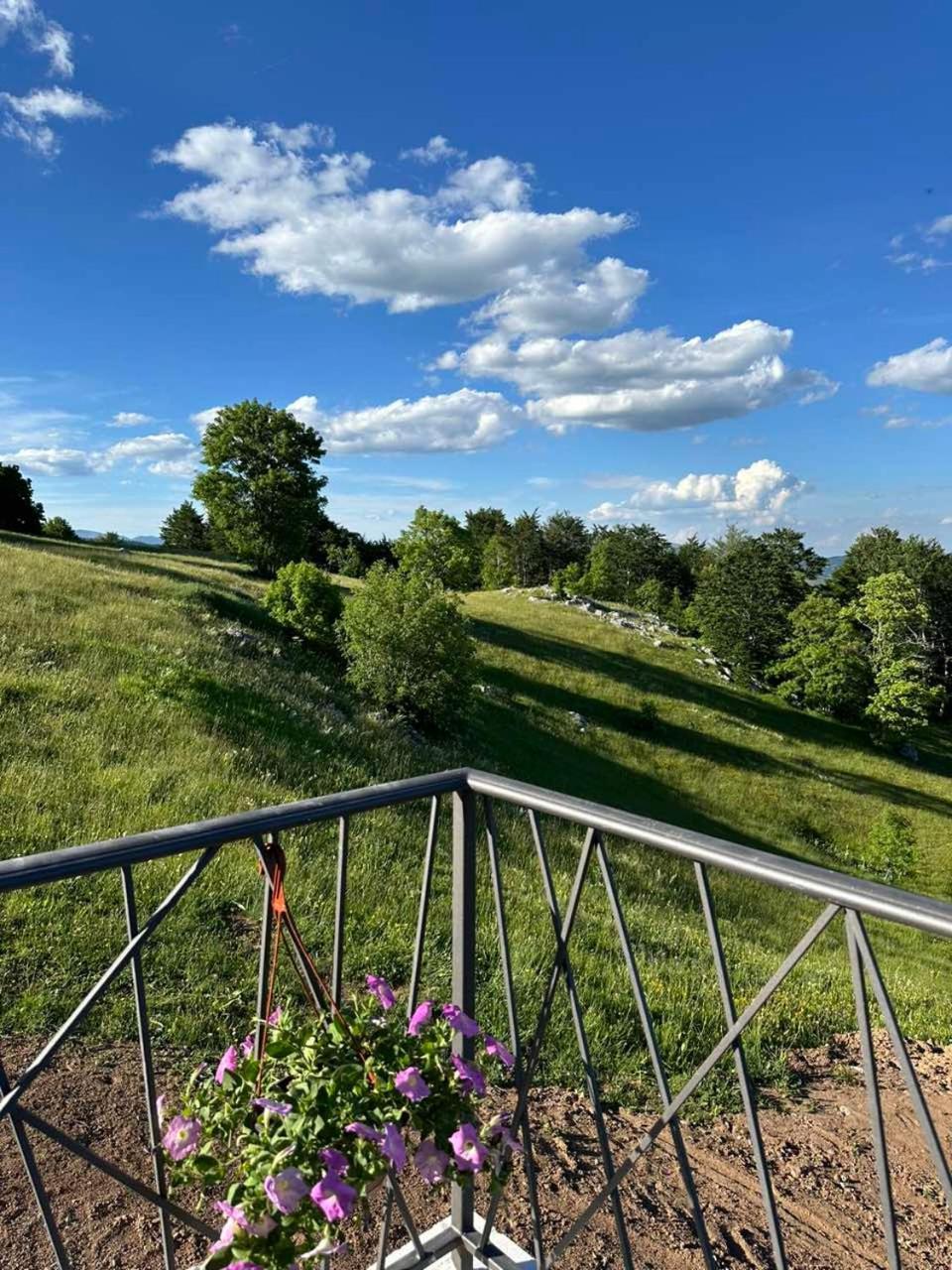 Monte Zone Villa Žabljak Dış mekan fotoğraf